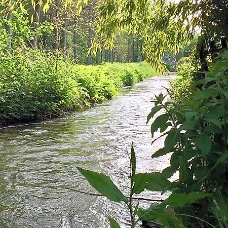 Le Clos De La Livre Bed & Breakfast Fontaine-sur-Ay